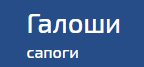 Галоши и сапоги в Ростове-на-Дону