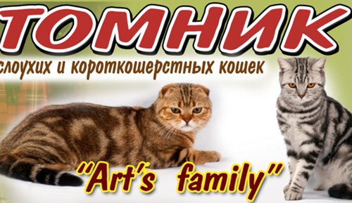 Питомник Art`s Family в Ростове-на-Дону